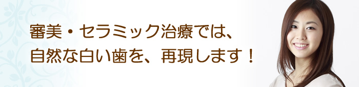 審美・セラミック